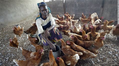 donate a chicken to africa.